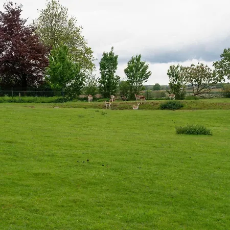 In Ubachsberg With Scenic Hills Vakantiehuis Voerendaal