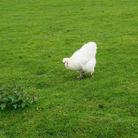 In Ubachsberg With Scenic Hills Vakantiehuis *