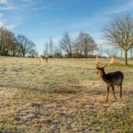 In Ubachsberg With Scenic Hills * Voerendaal
