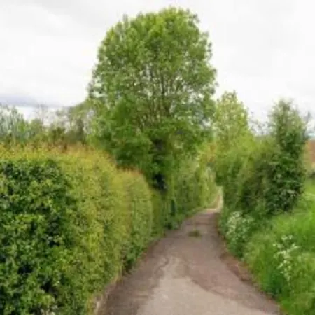 בית נופש In Ubachsberg With Scenic Hills *