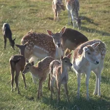 Vakantiehuis In Ubachsberg With Scenic Hills *