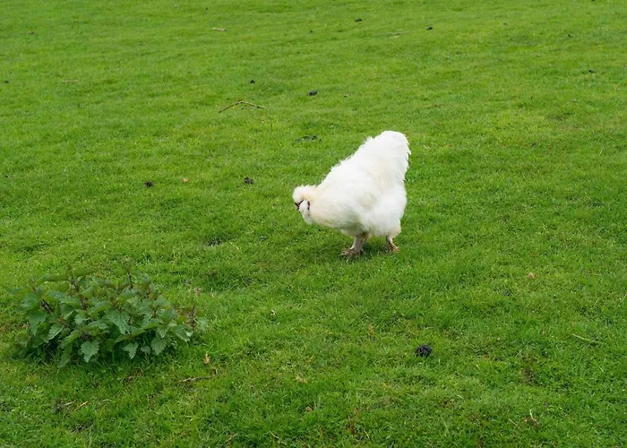 In Ubachsberg With Scenic Hills Dom wakacyjny *