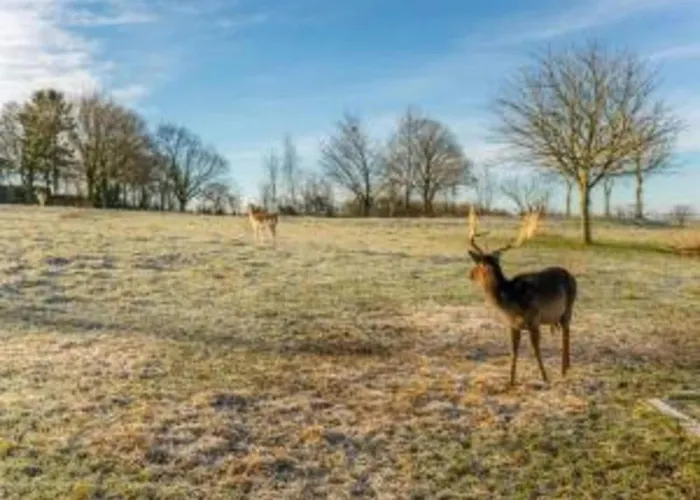 In Ubachsberg With Scenic Hills * Voerendaal