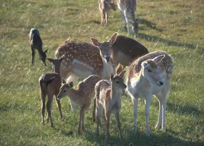 Dom wakacyjny In Ubachsberg With Scenic Hills *