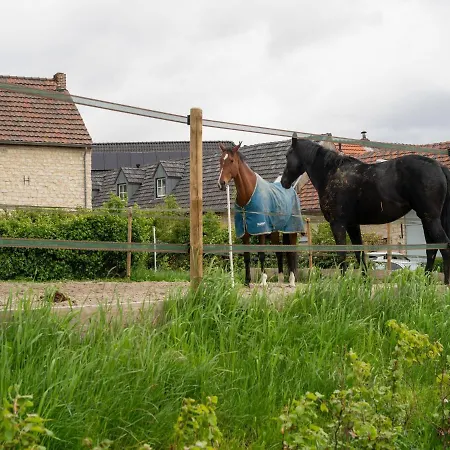 In Ubachsberg With Scenic Hills
