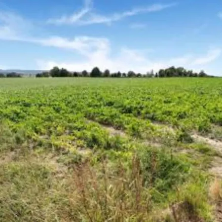 In Ubachsberg With Scenic Hills Hébergement de vacances *