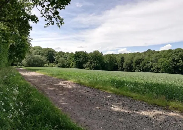 In Ubachsberg With Scenic Hills *