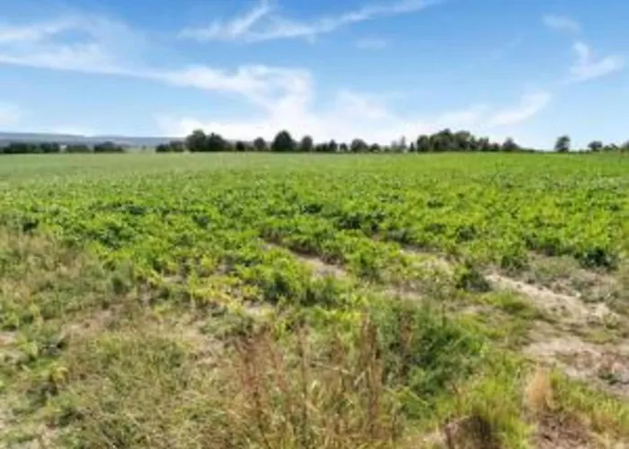 In Ubachsberg With Scenic Hills Holiday home *